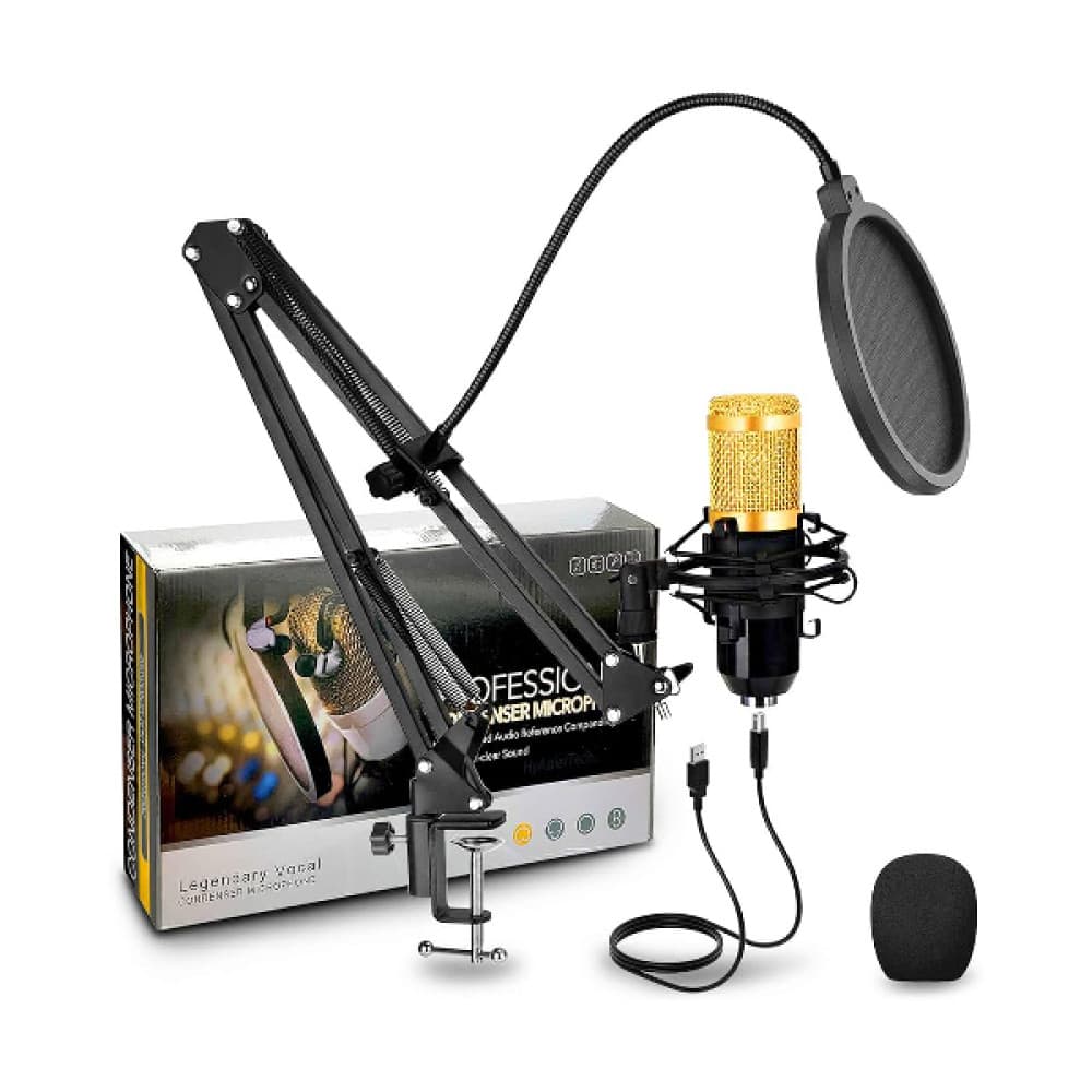 Microphone professionnel à condensateur BM-800